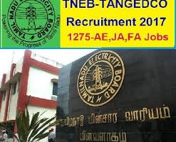 TNEB TANGEDCO Recruitment 2017