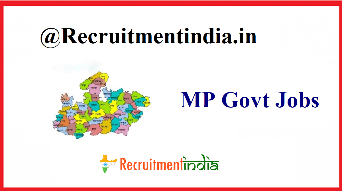 New government jobs 2013 in mp