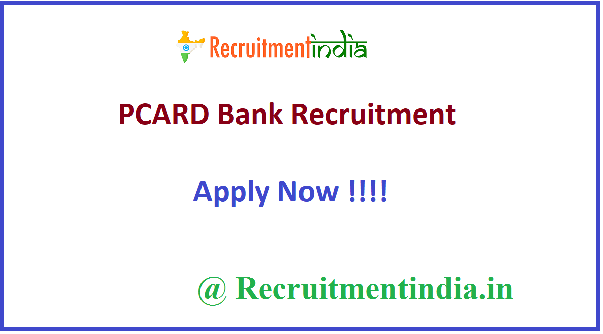 PCARD Bank Recruitment 